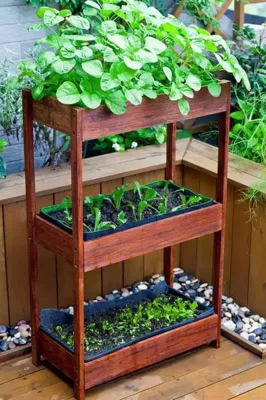 陽臺種菜讓您其樂無窮 天恒裝飾 陽臺種菜讓您其樂無窮 天恒裝飾