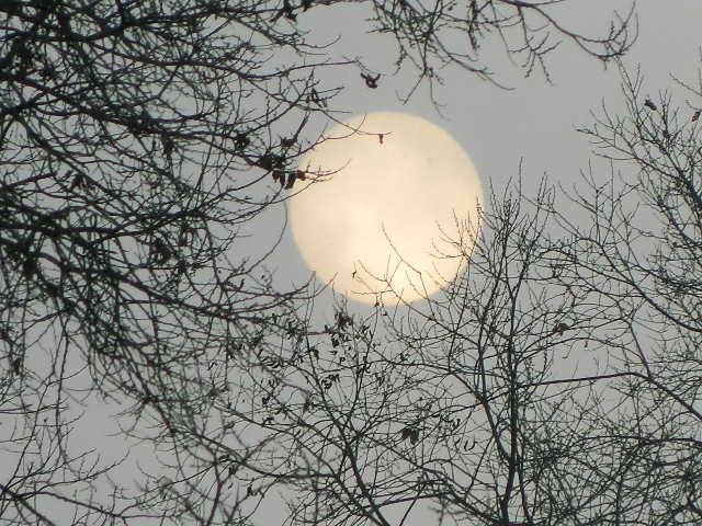 【洛陽天恒】教您冬至風水家居這樣布置 可以旺財開運哦！